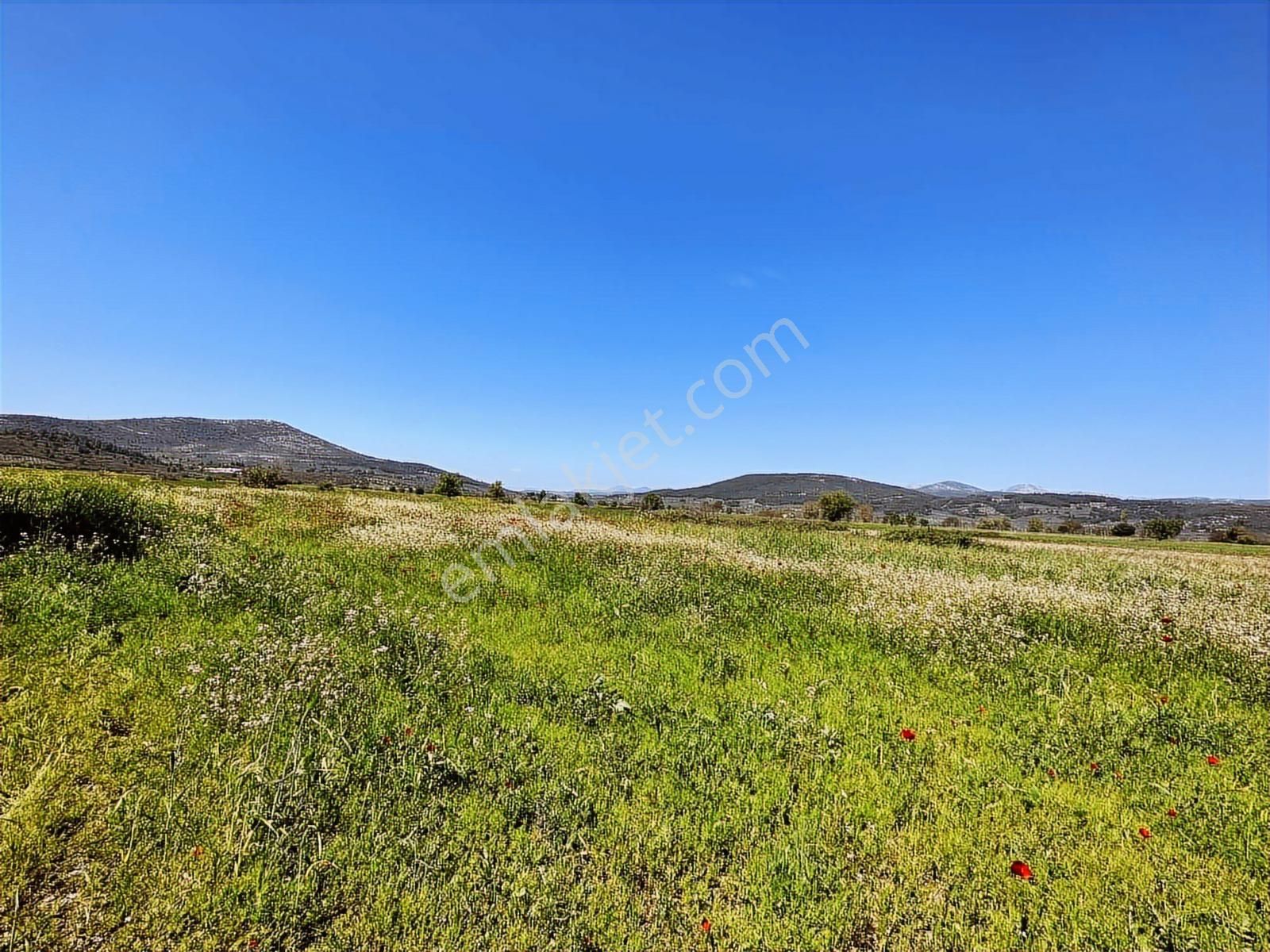 Muğla Menteşe Yeşilyurt Mah. Satılık 3200 M2 Tarla - Görsel 15