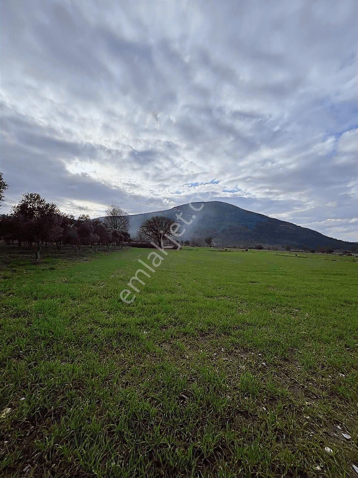 Muğla Menteşe Yeşilyurt Mah. Satılık 3200 M2 Tarla - Görsel 3