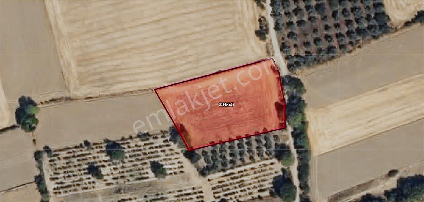 Muğla Menteşe Yeşilyurt Mah. Satılık 3200 M2 Tarla - Görsel 16