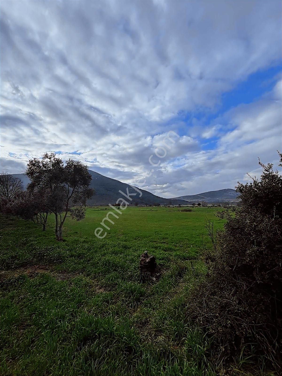 Muğla Menteşe Yeşilyurt Mah. Satılık 3200 M2 Tarla - Görsel 6