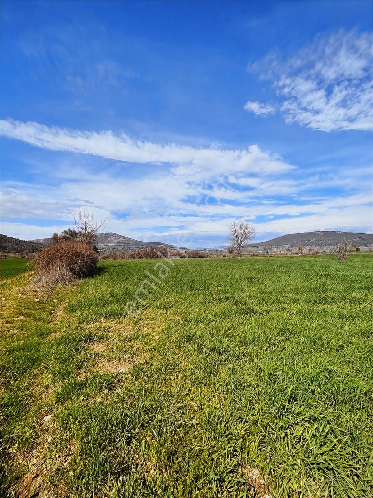 Muğla Menteşe Yeşilyurt Mah. Satılık 3200 M2 Tarla - Görsel 13