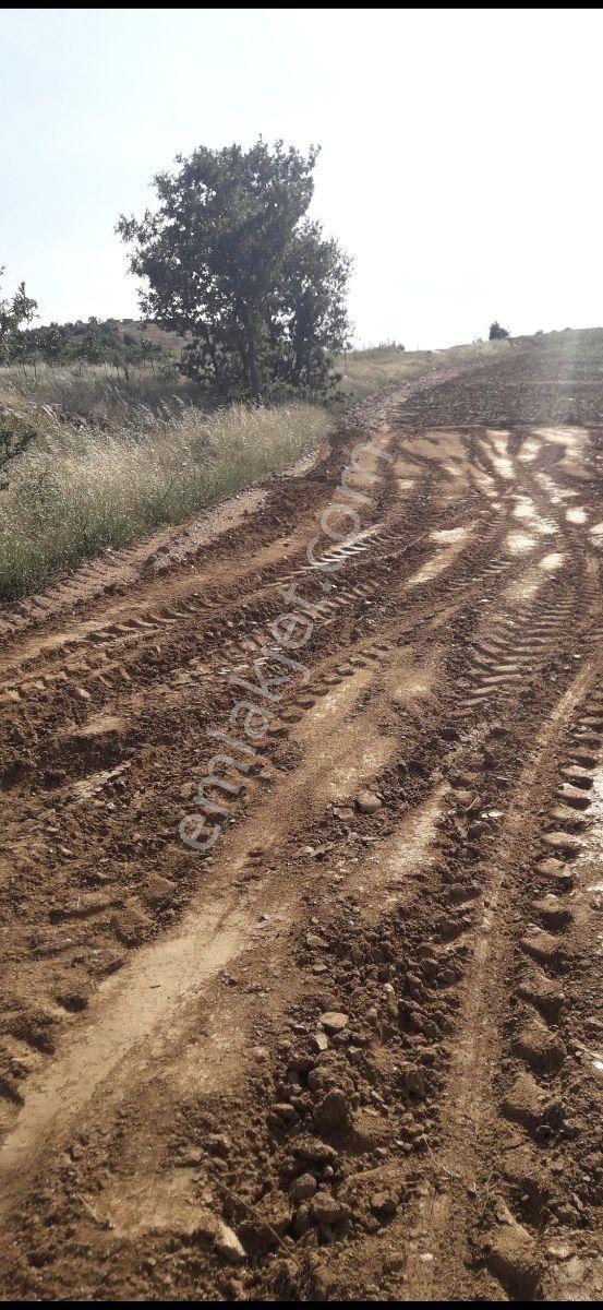 Salihli Beşyol Emlaktan Satılık 600 Dönüm Arazi - Görsel 13