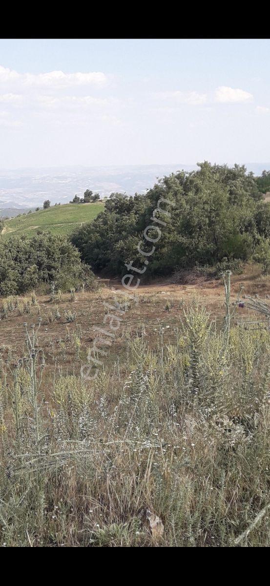 Salihli Beşyol Emlaktan Satılık 600 Dönüm Arazi - Görsel 24