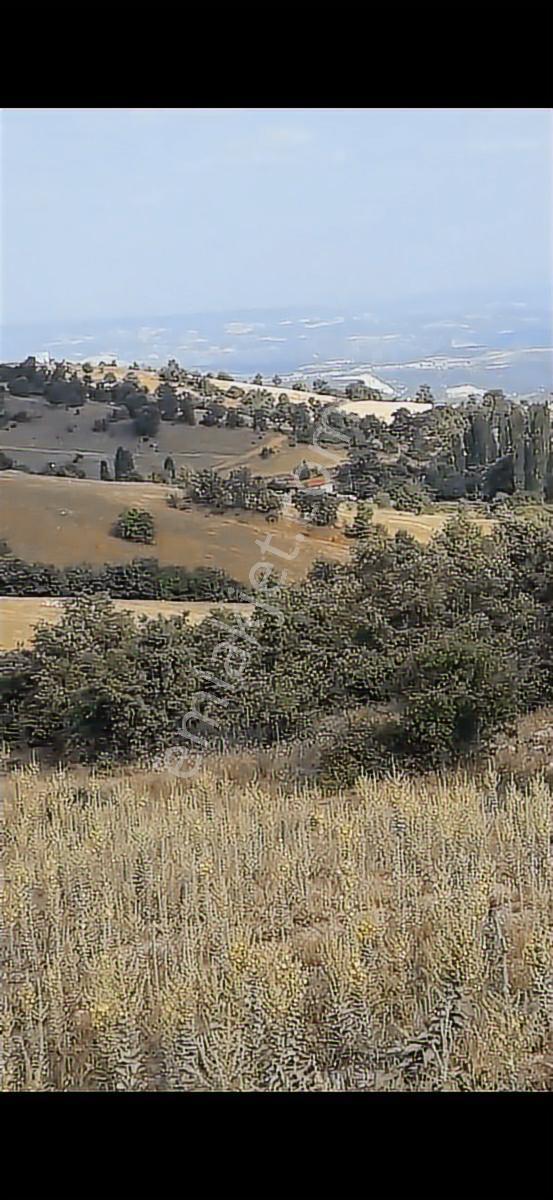 Salihli Beşyol Emlaktan Satılık 600 Dönüm Arazi - Görsel 7