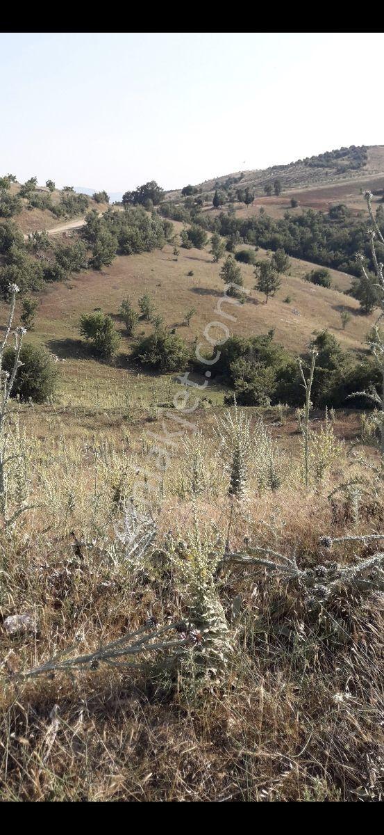 Salihli Beşyol Emlaktan Satılık 600 Dönüm Arazi - Görsel 14