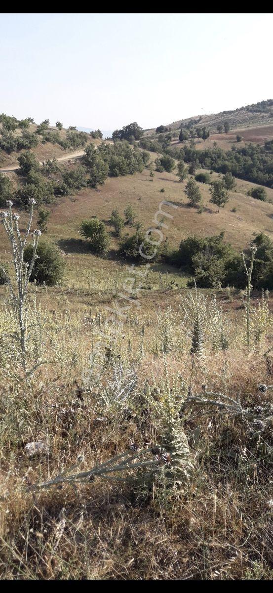 Salihli Beşyol Emlaktan Satılık 600 Dönüm Arazi - Görsel 3