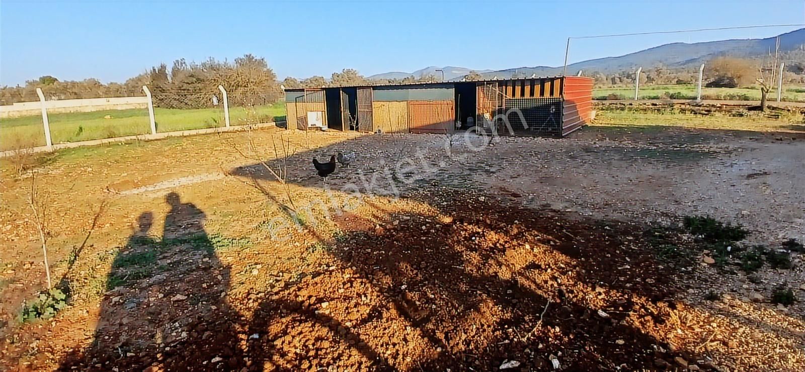 Bodrum Da Hazır Çiftlik 5855 M2 Yola Cepheli Yaşam Evi - Görsel 29