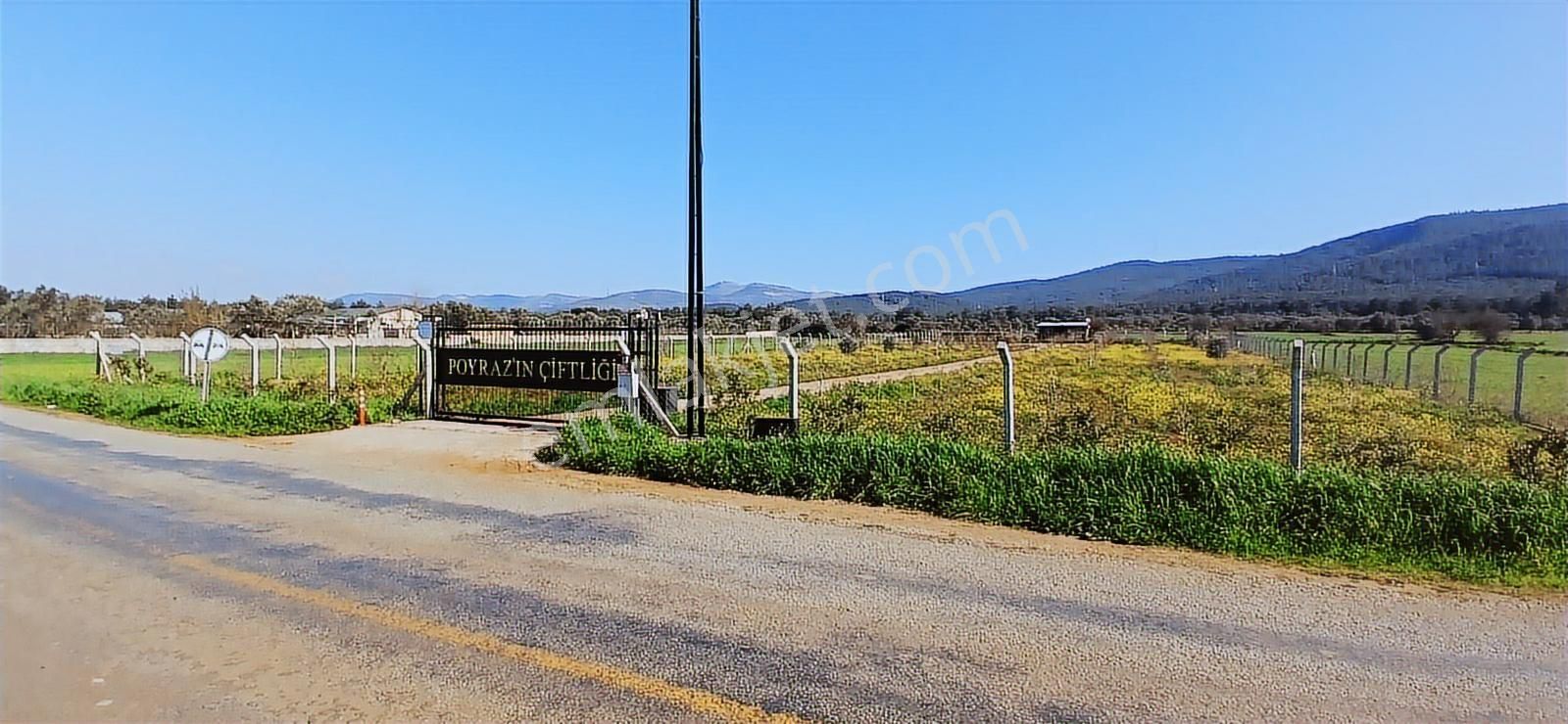 Bodrum Da Hazır Çiftlik 5855 M2 Yola Cepheli Yaşam Evi - Görsel 33