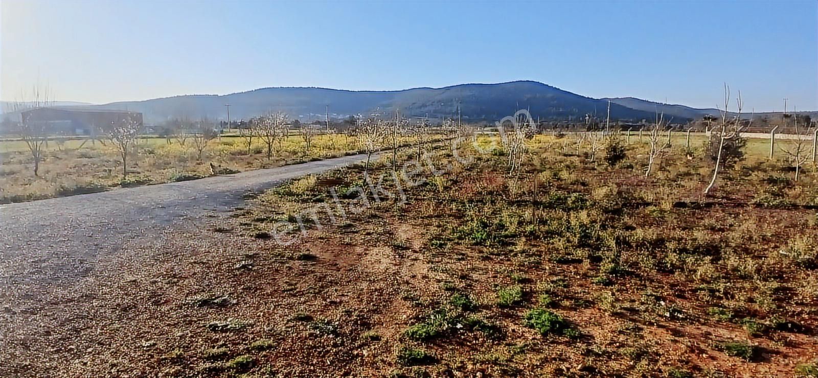 Bodrum Da Hazır Çiftlik 5855 M2 Yola Cepheli Yaşam Evi - Görsel 20