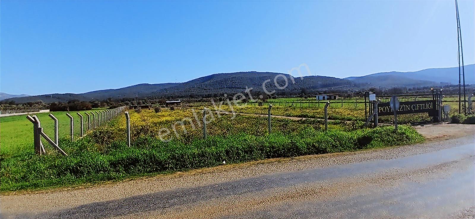 Bodrum Da Hazır Çiftlik 5855 M2 Yola Cepheli Yaşam Evi - Görsel 25
