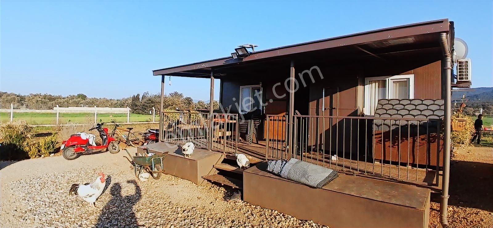 Bodrum Da Hazır Çiftlik 5855 M2 Yola Cepheli Yaşam Evi - Görsel 3