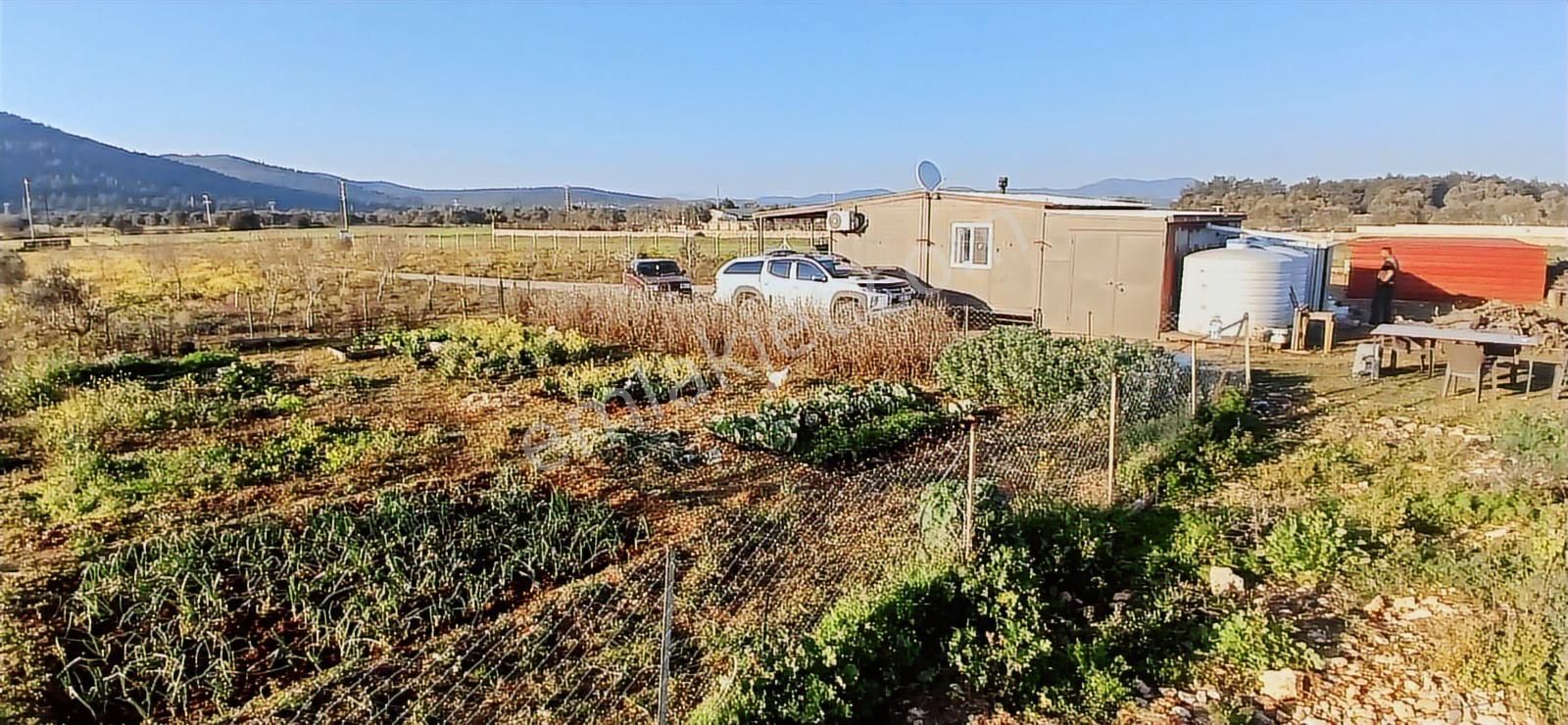 Bodrum Da Hazır Çiftlik 5855 M2 Yola Cepheli Yaşam Evi - Görsel 31