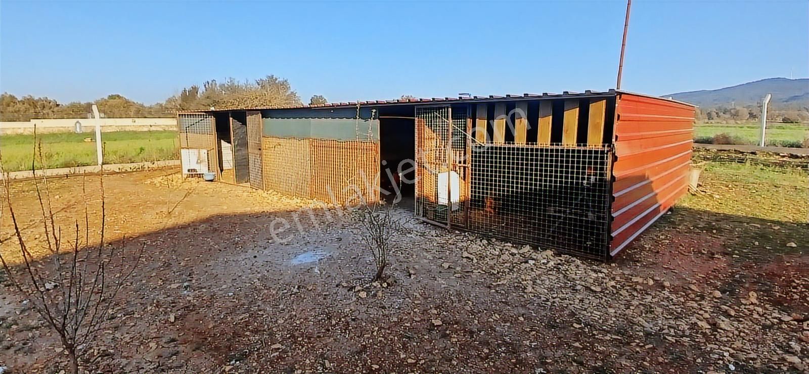 Bodrum Da Hazır Çiftlik 5855 M2 Yola Cepheli Yaşam Evi - Görsel 14