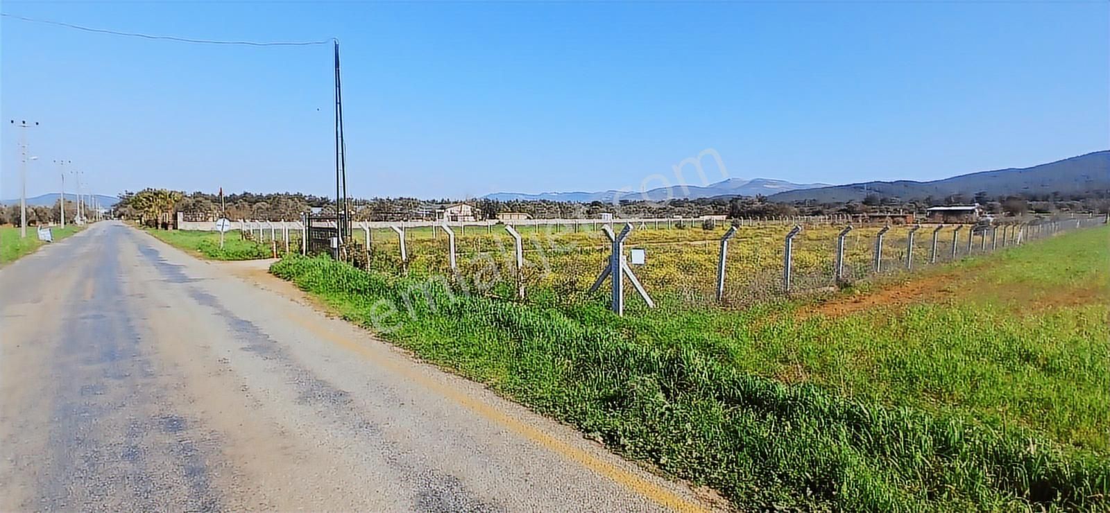 Bodrum Da Hazır Çiftlik 5855 M2 Yola Cepheli Yaşam Evi - Görsel 12