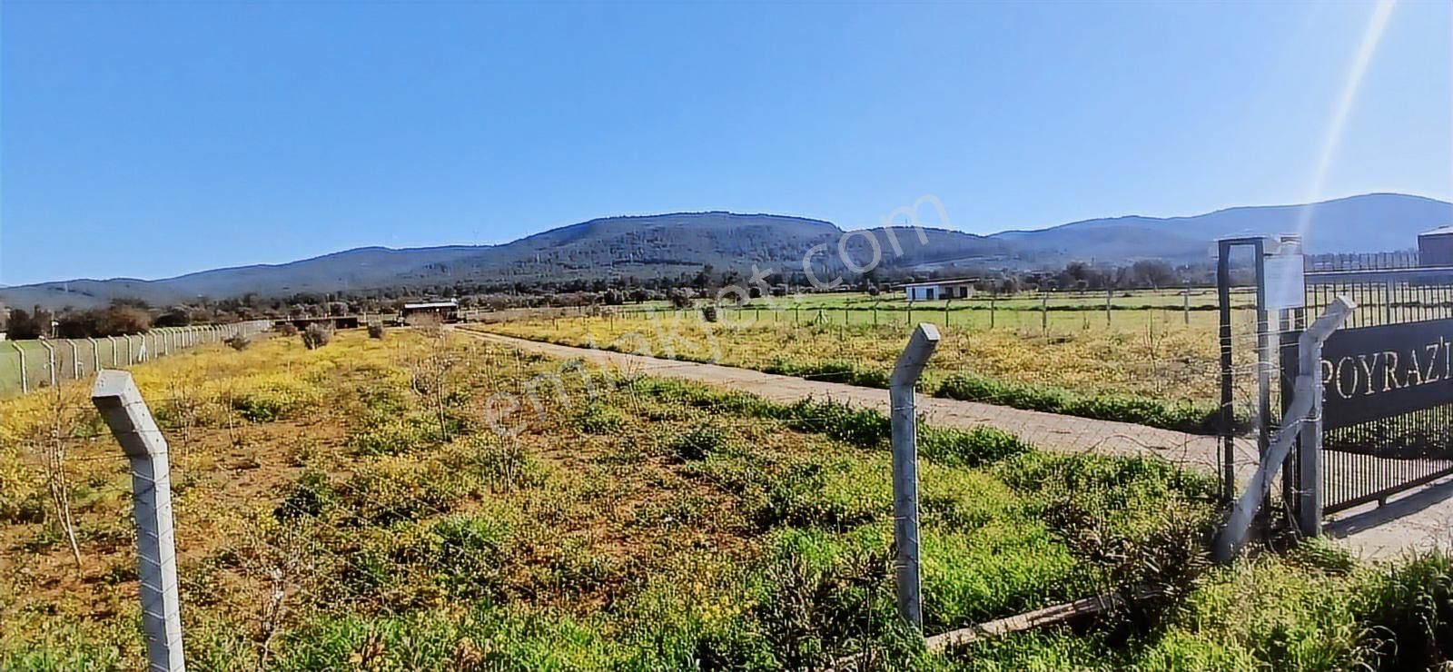 Bodrum Da Hazır Çiftlik 5855 M2 Yola Cepheli Yaşam Evi - Görsel 23