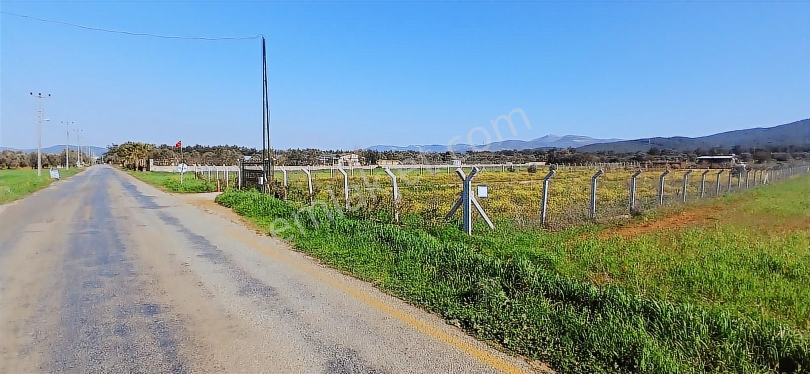 Bodrum Da Hazır Çiftlik 5855 M2 Yola Cepheli Yaşam Evi - Görsel 2