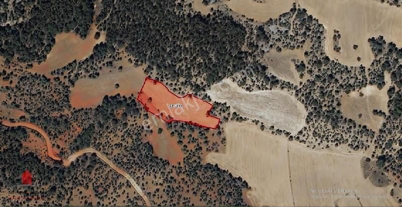 Başarakavakta 6820m2 Müstakil Satılık Yatırım Tarlası - Görsel 3