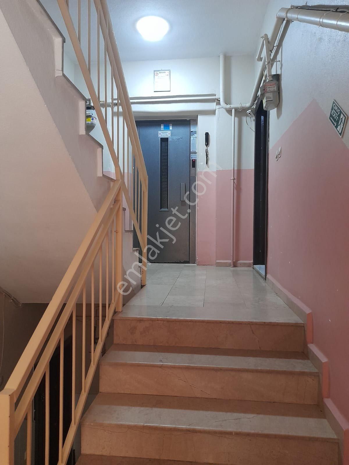 Fındıklı’da 140 M2 3+1 İskanlı Daire - Görsel 26