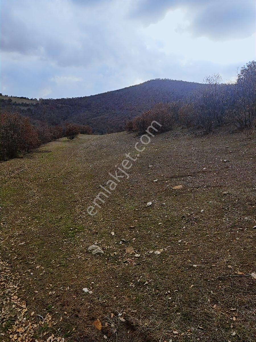 Salihli Beşyol Emlaktan Ges İçin 1000 Dönüm Satılık Araziler - Görsel 2