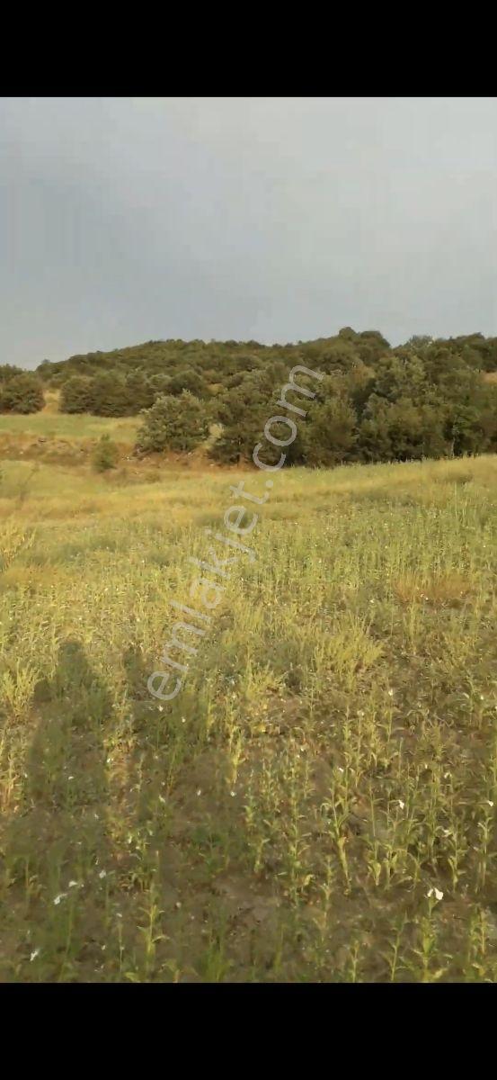 Salihli Beşyol Emlaktan Satılık 400 Dönüme Kadar Araziler - Görsel 15