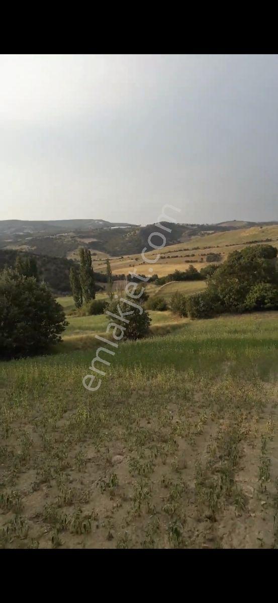Salihli Beşyol Emlaktan Satılık 400 Dönüme Kadar Araziler - Görsel 4