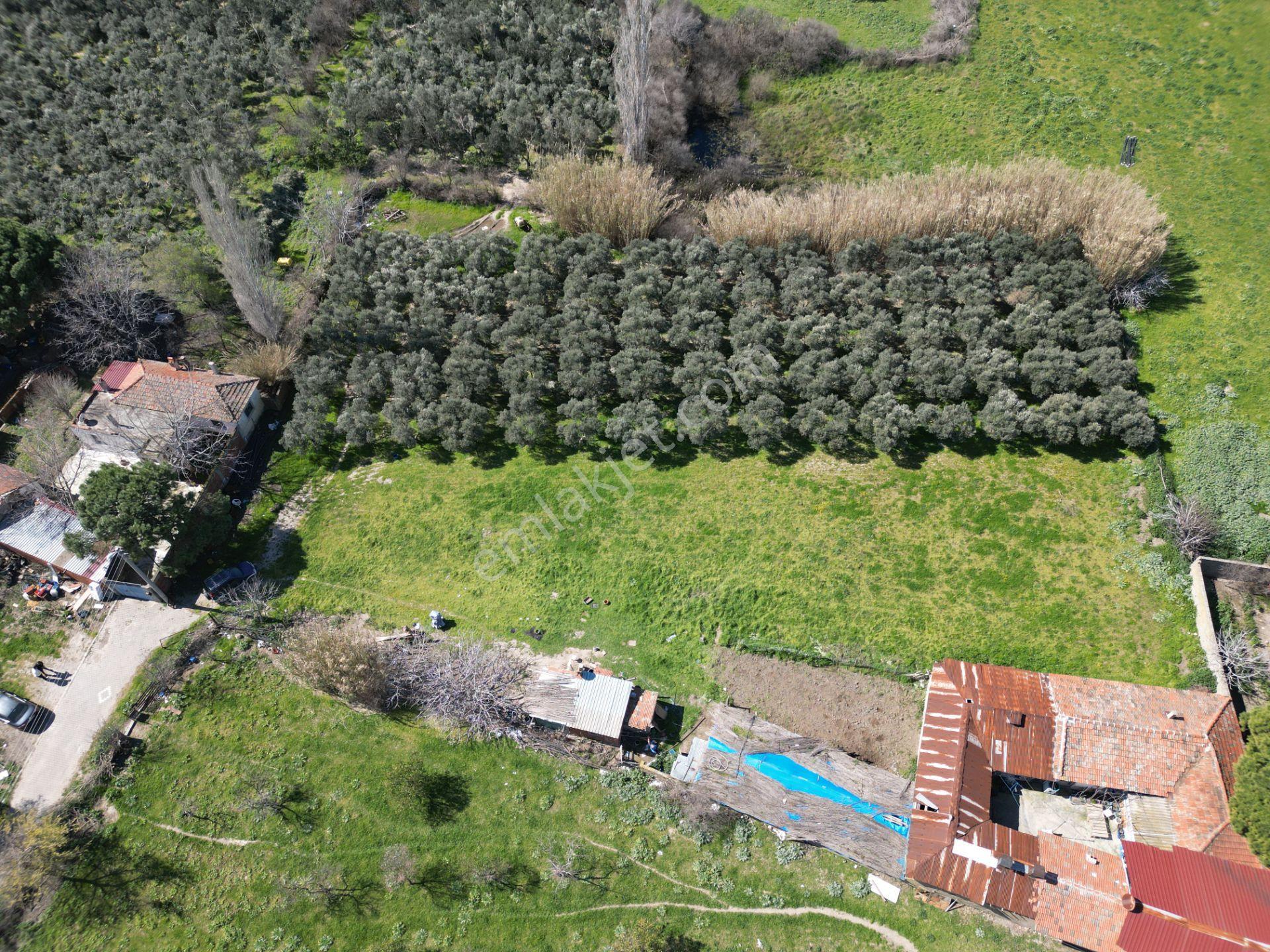 Parla'dan Burhaniye Çoruk Mah.'de 3842m² İmarlı Yatırım Fırsatı