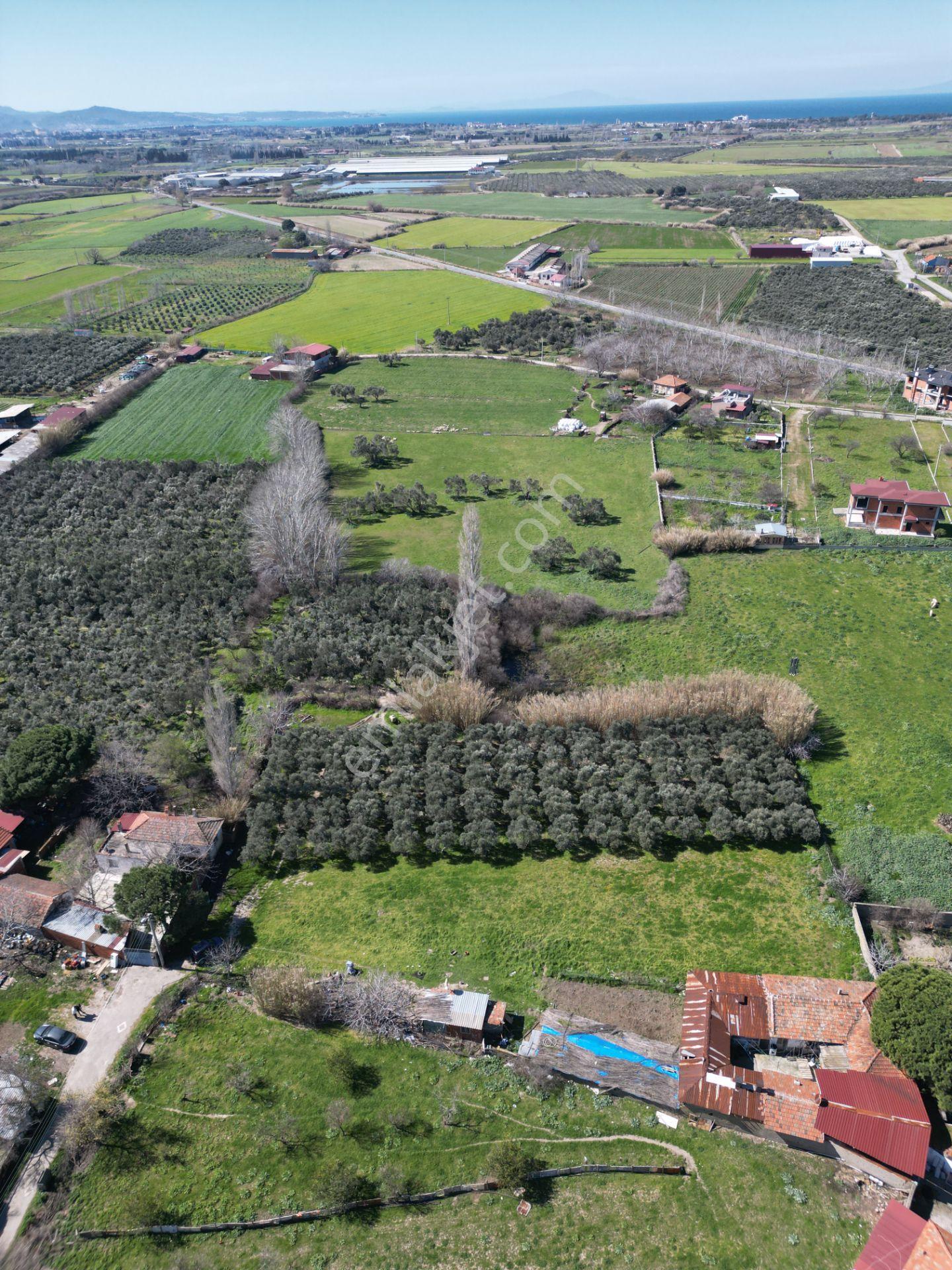 Parla'dan Burhaniye Çoruk Mah.'de 3842m² İmarlı Yatırım Fırsatı - Görsel 12