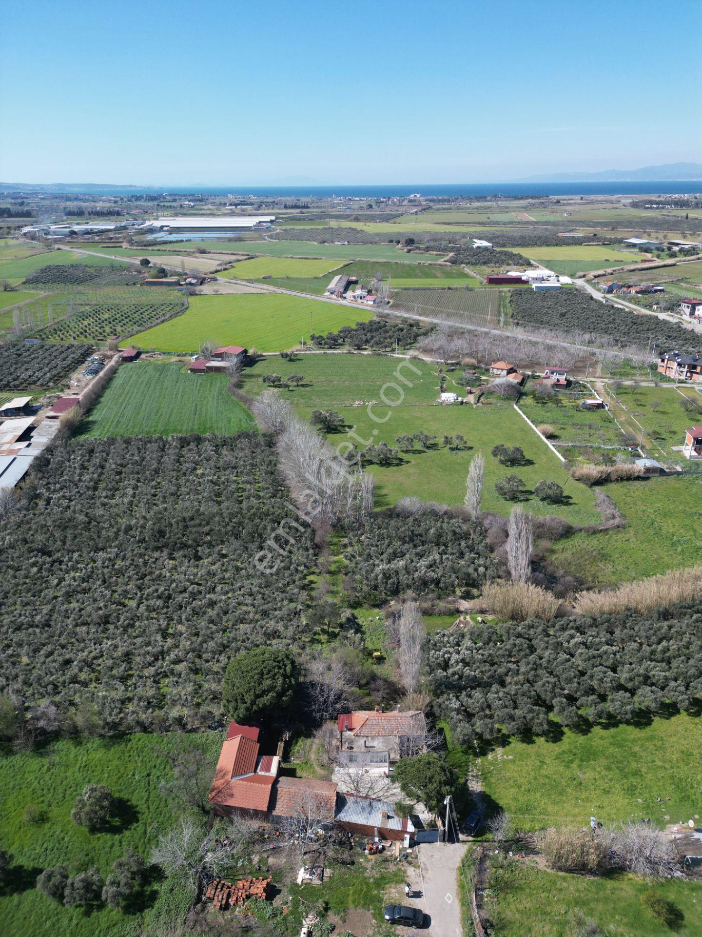 Parla'dan Burhaniye Çoruk Mah.'de 3842m² İmarlı Yatırım Fırsatı - Görsel 13
