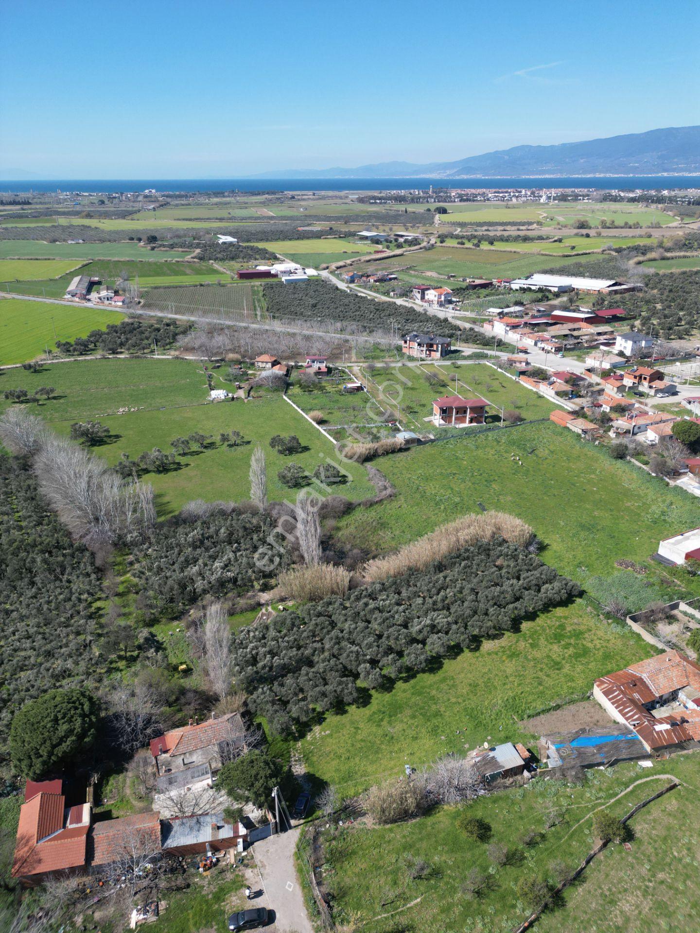 Parla'dan Burhaniye Çoruk Mah.'de 3842m² İmarlı Yatırım Fırsatı - Görsel 9