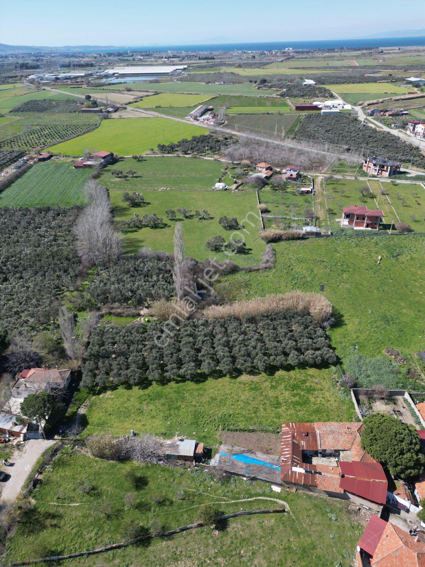 Parla'dan Burhaniye Çoruk Mah.'de 3842m² İmarlı Yatırım Fırsatı - Görsel 11