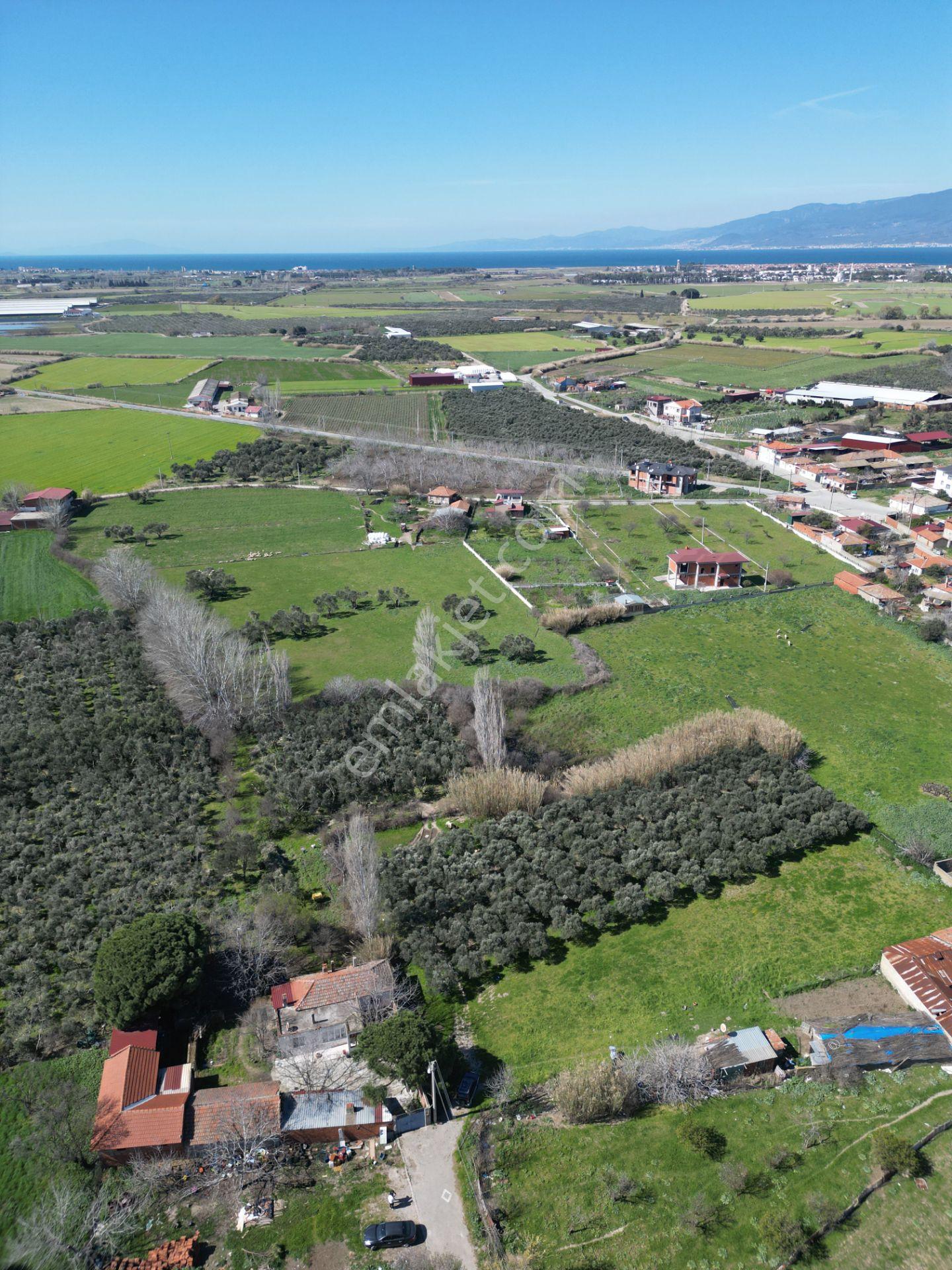 Parla'dan Burhaniye Çoruk Mah.'de 3842m² İmarlı Yatırım Fırsatı - Görsel 15