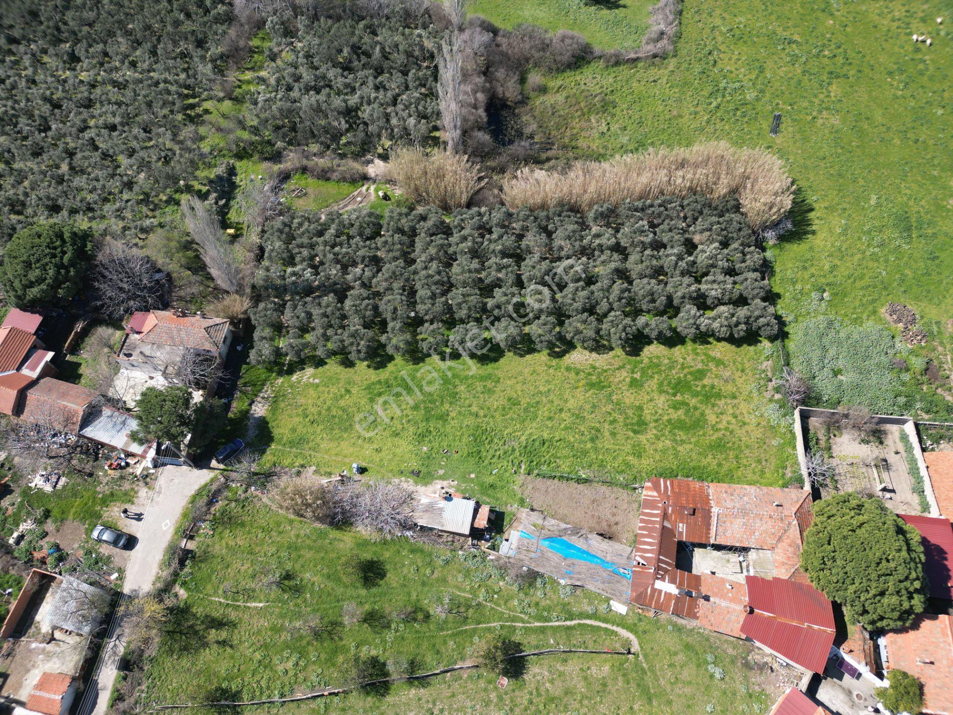 Parla'dan Burhaniye Çoruk Mah.'de 3842m² İmarlı Yatırım Fırsatı - Görsel 4