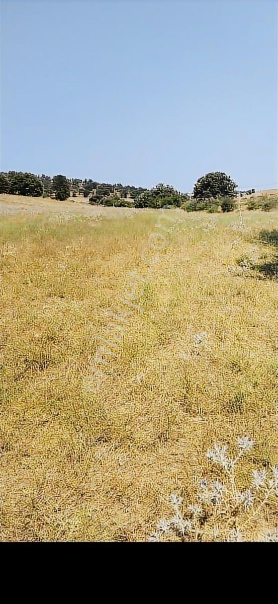 Salihli Beşyol Emlaktan Satılık 65 Dönüm Arazi - Görsel 8