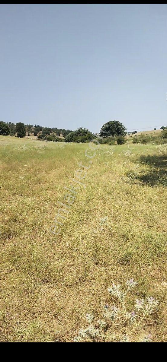 Salihli Beşyol Emlaktan Satılık 65 Dönüm Arazi - Görsel 5