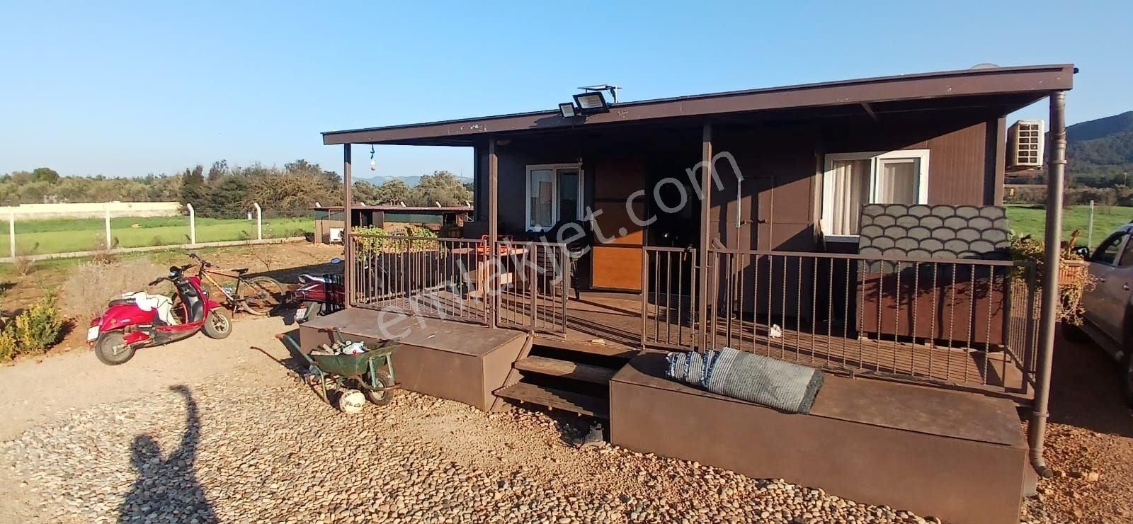 Bodrum Da Hazır Çiftlik 5855 M2 Yola Cepheli Yaşam Evi - Görsel 3