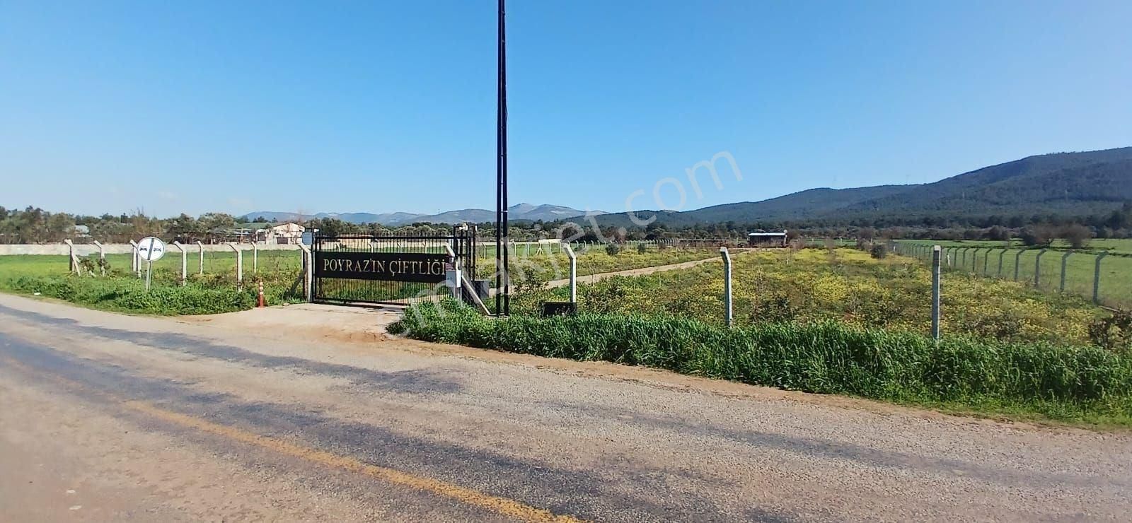 Bodrum Da Hazır Çiftlik 5855 M2 Yola Cepheli Yaşam Evi - Görsel 29