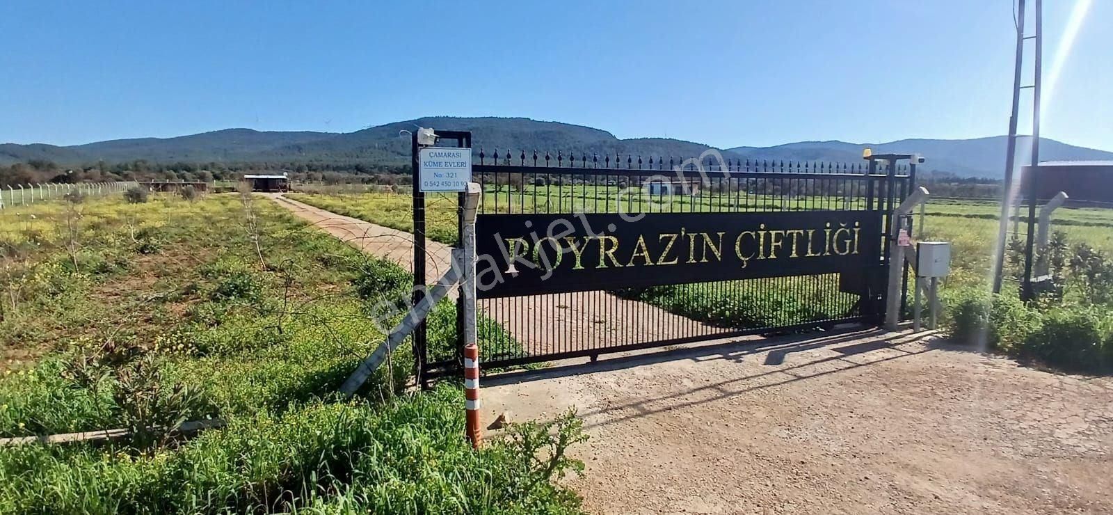 Bodrum Da Hazır Çiftlik 5855 M2 Yola Cepheli Yaşam Evi - Görsel 17
