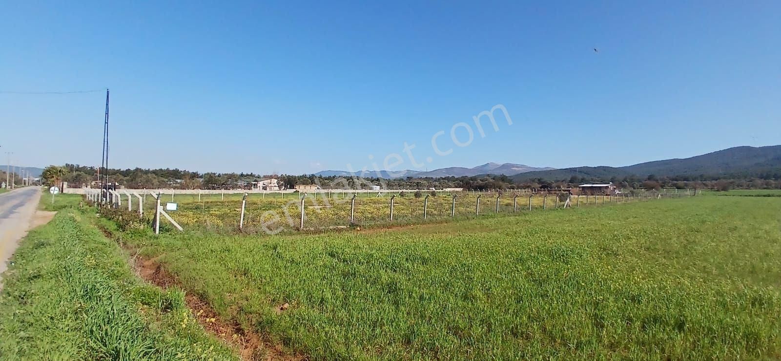 Bodrum Da Hazır Çiftlik 5855 M2 Yola Cepheli Yaşam Evi - Görsel 31
