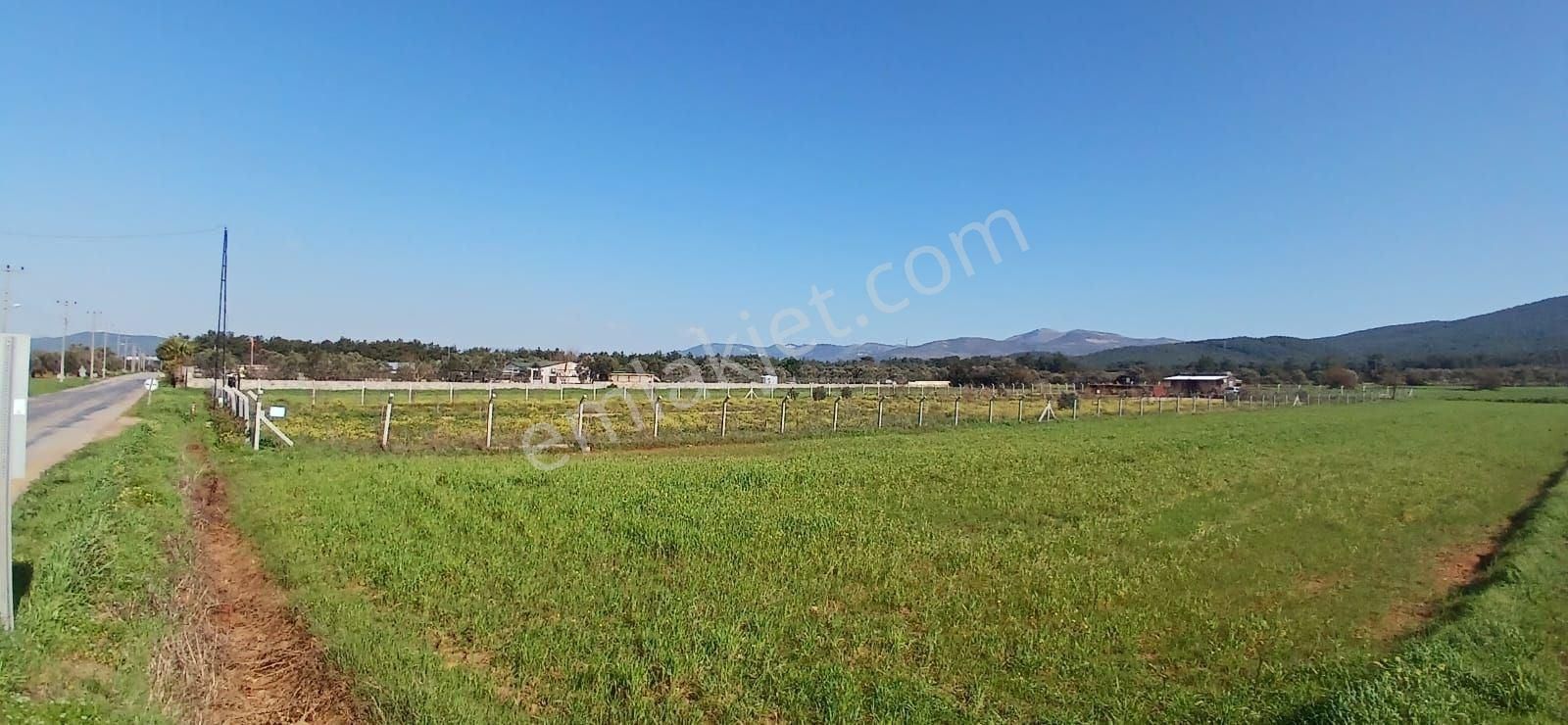Bodrum Da Hazır Çiftlik 5855 M2 Yola Cepheli Yaşam Evi - Görsel 35