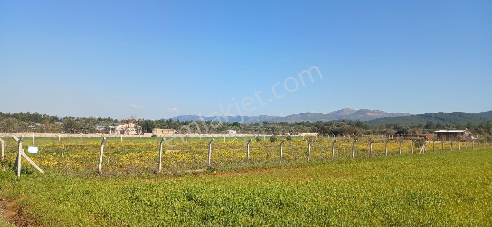 Bodrum Da Hazır Çiftlik 5855 M2 Yola Cepheli Yaşam Evi - Görsel 32