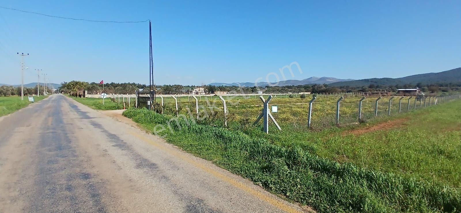 Bodrum Da Hazır Çiftlik 5855 M2 Yola Cepheli Yaşam Evi - Görsel 15