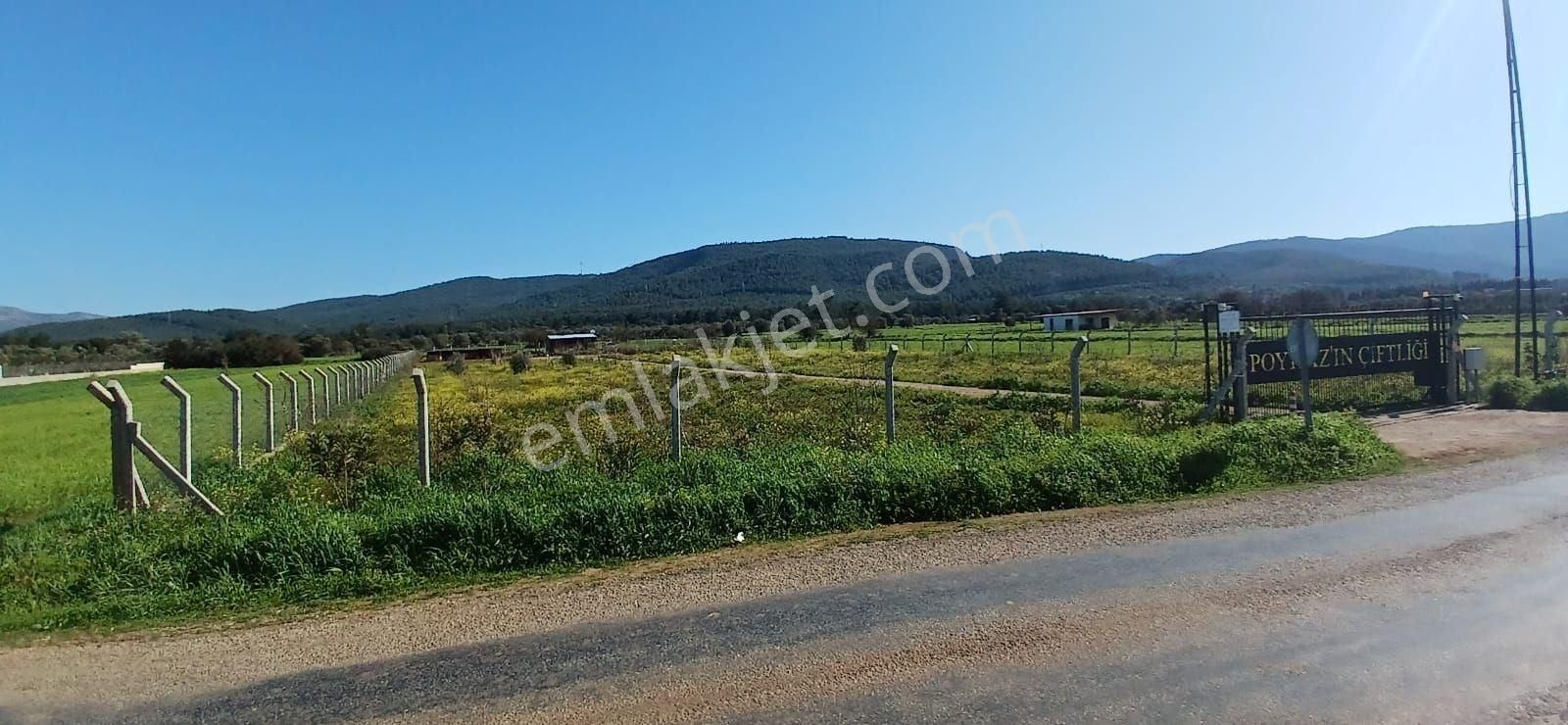 Bodrum Da Hazır Çiftlik 5855 M2 Yola Cepheli Yaşam Evi - Görsel 26