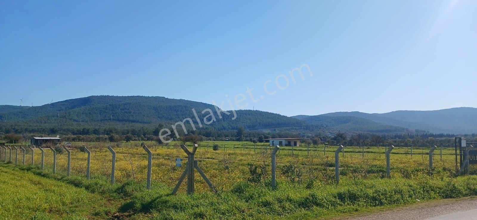 Bodrum Da Hazır Çiftlik 5855 M2 Yola Cepheli Yaşam Evi - Görsel 24