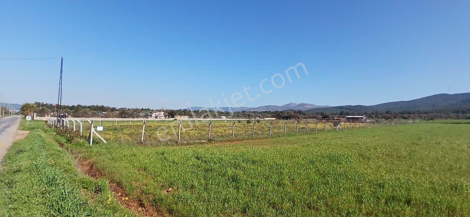 Bodrum Da Hazır Çiftlik 5855 M2 Yola Cepheli Yaşam Evi - Görsel 33
