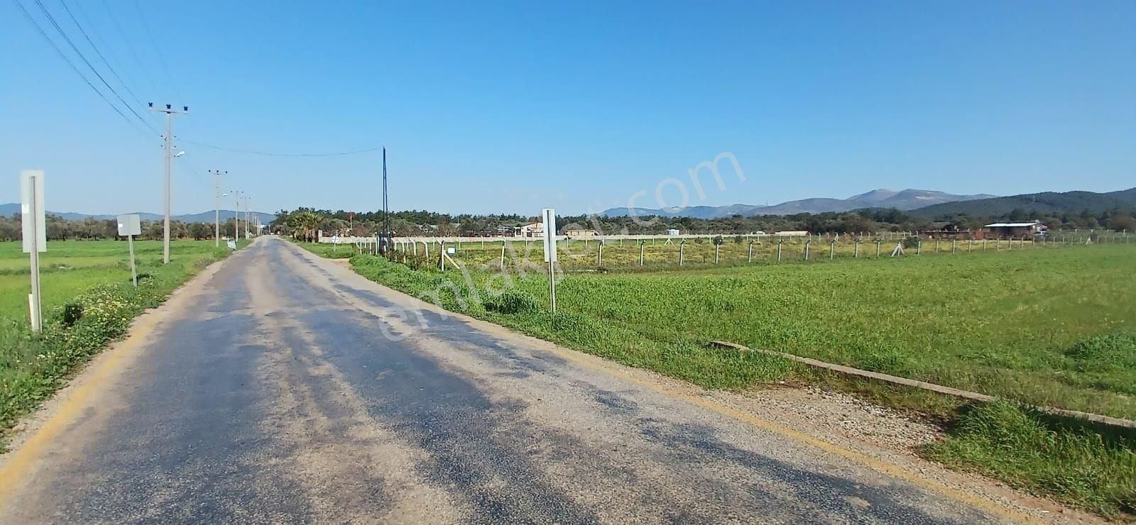 Bodrum Da Hazır Çiftlik 5855 M2 Yola Cepheli Yaşam Evi - Görsel 13