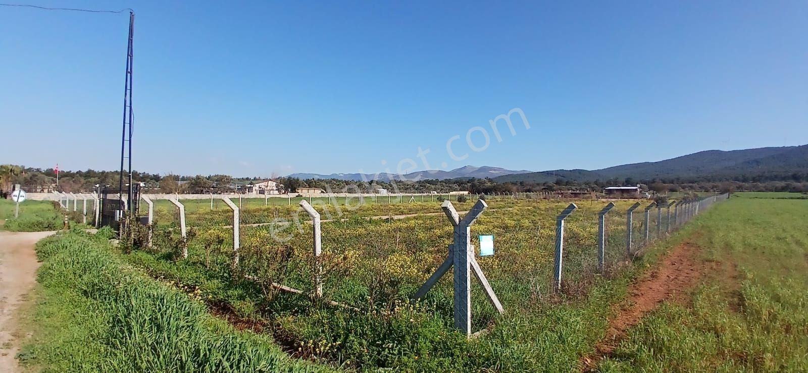 Bodrum Da Hazır Çiftlik 5855 M2 Yola Cepheli Yaşam Evi - Görsel 34