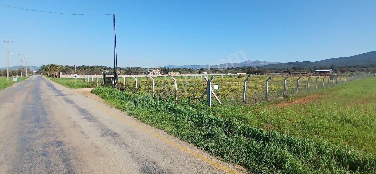 Bodrum Da Hazır Çiftlik 5855 M2 Yola Cepheli Yaşam Evi - Görsel 18