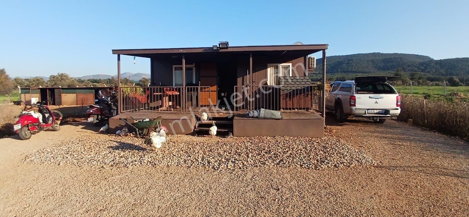 Bodrum Da Hazır Çiftlik 5855 M2 Yola Cepheli Yaşam Evi - Görsel 4