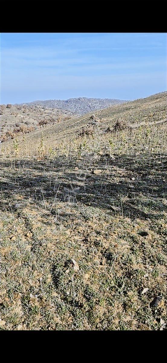Salihli Beşyol Emlaktan 570 Dönüm Satılık Arazi - Görsel 16