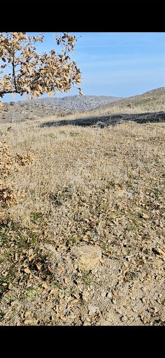 Salihli Beşyol Emlaktan 570 Dönüm Satılık Arazi - Görsel 7